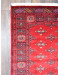 Ковер 0,95х1,59 Pakistan Jaldar Excl. Butterfly red