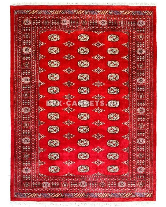 Ковер 1.70x2.43 Pakistan Jaldar Marino Duble 19516/253